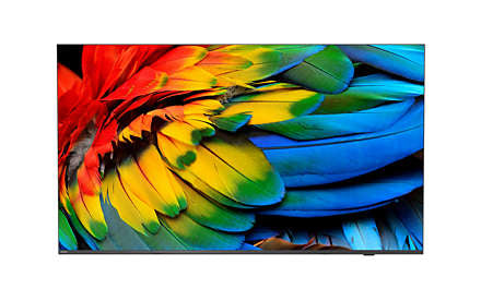 Philips 58HFL6214U/12 TV 147,3 cm (58") 4K Ultra HD Wifi Anthracite 400 cd/m²