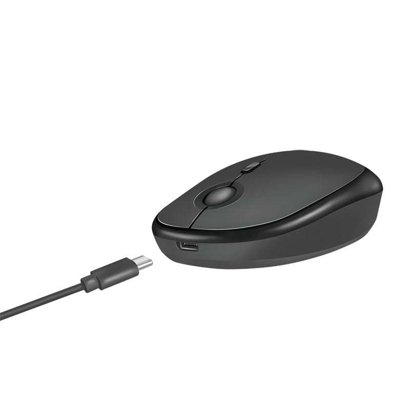 LogiLink ID0204 souris Bureau Ambidextre RF sans fil + Bluetooth 1600 DPI