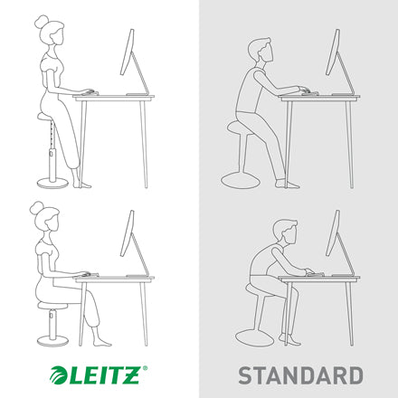 Leitz Ergo Cosy Active Siège rembourré
