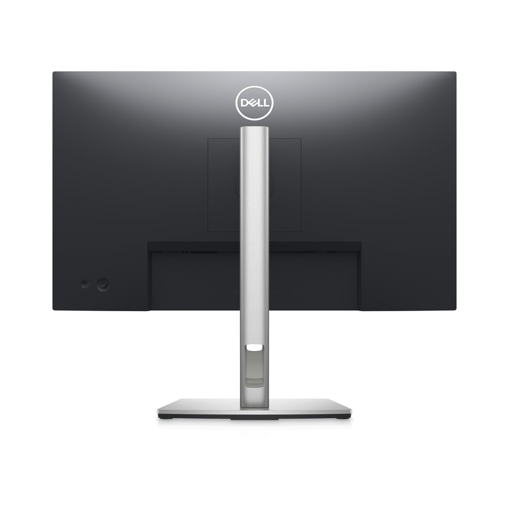 DELL P Series Écran 24 pouces QHD - P2423D