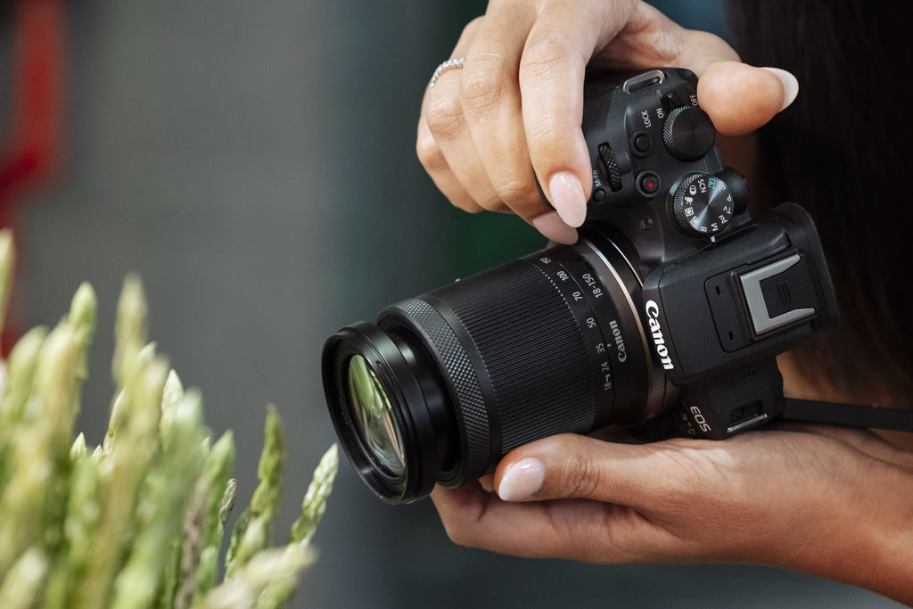 Canon RF-S 18-150 mm f3.5-6.3 IS STM MILC Objectif large Noir