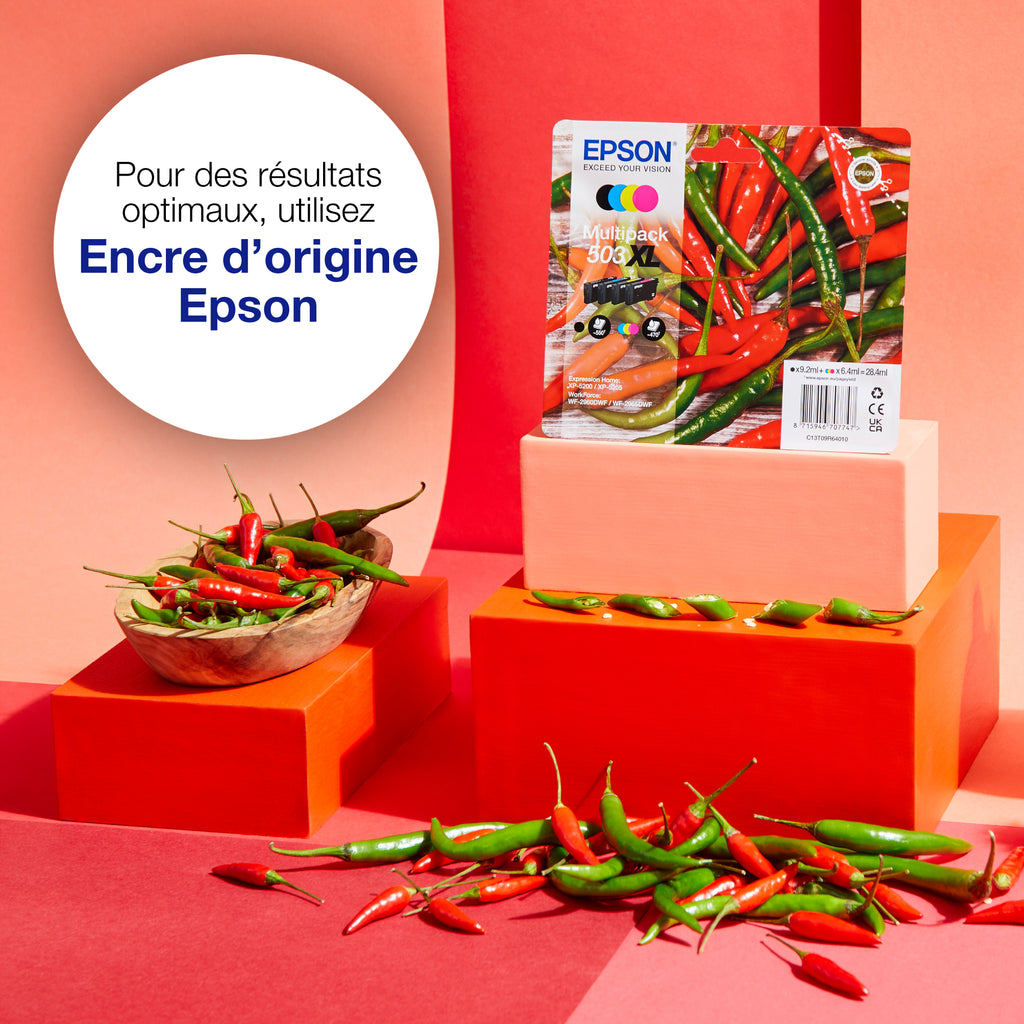 Epson 503XL Cartouches d'Encre Originales Rendement Élevé (XL), Noir, Cyan, Magenta, Jaune, Pack de 4