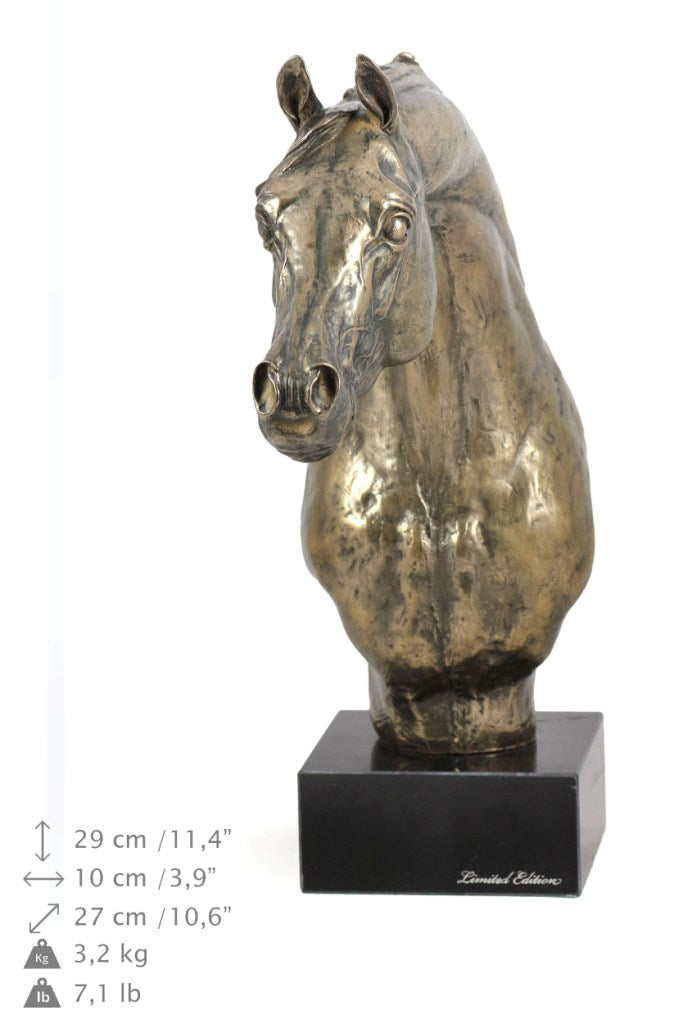 Australian Stock Horse - a large statuette with a horse, a bust on a stone base, a prestigious award in the Art-Dog brand competition.