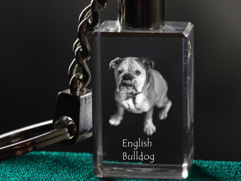 Bulldog, English Bulldog, British Bulldog - Crystal key ring with dog photo, illuminated key ring, unique gift by Art-Dog brand