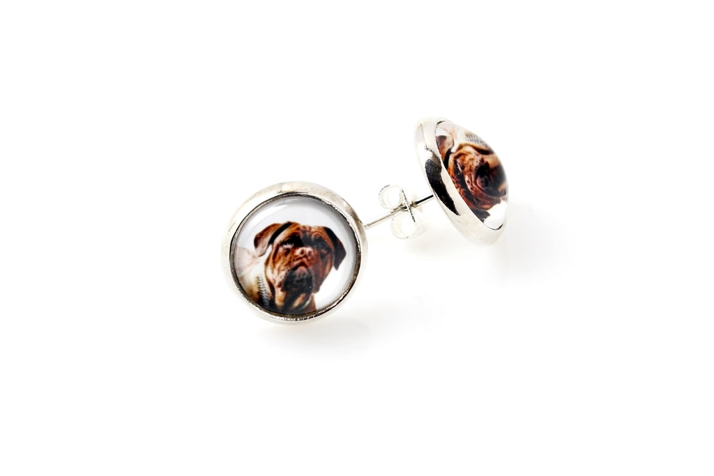 Dogue de Bordeaux, French Mastiff, Bordeauxdog - jewelry with your photo box, set of necklace and earrings, personalized products from the Art-Dog brand