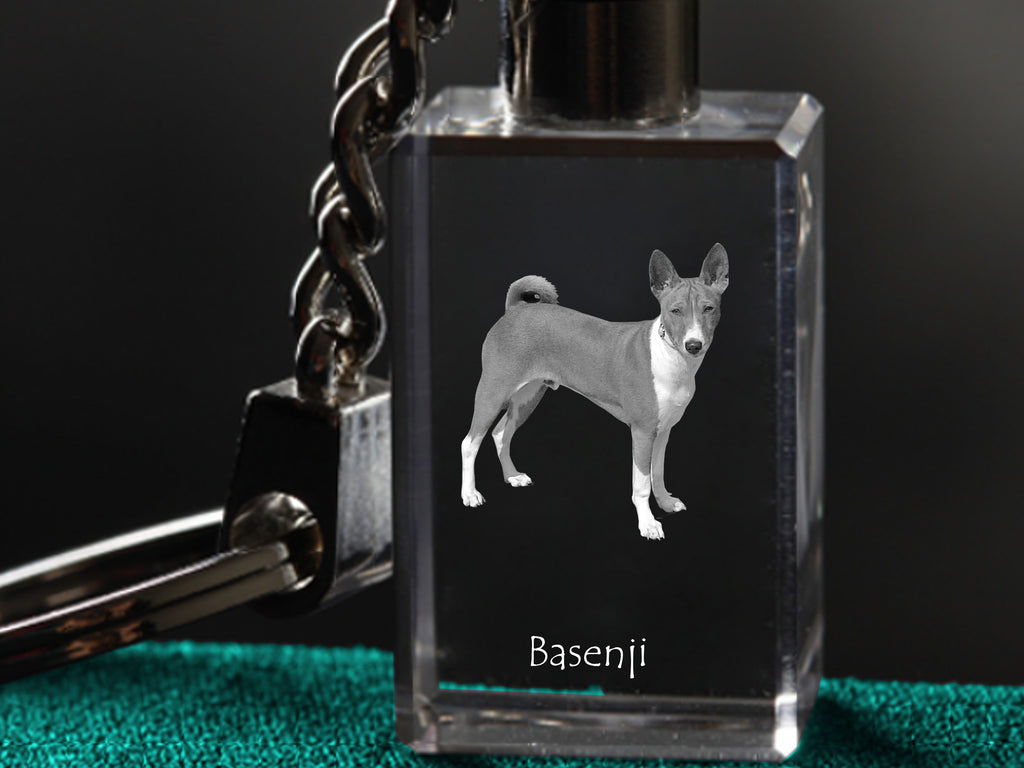 Basenji, African bush dog, Congo dog - Crystal key ring with dog photo, illuminated key ring, unique gift by Art-Dog brand