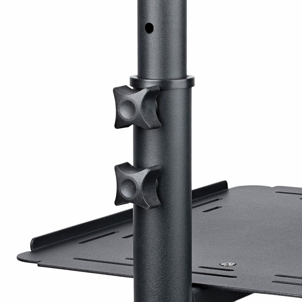 StarTech.com Table Vidéoprojecteur et Ordinateur Portable, Support Robuste 2 Étagères, Ajustable en Hauteur, Chariot Mob