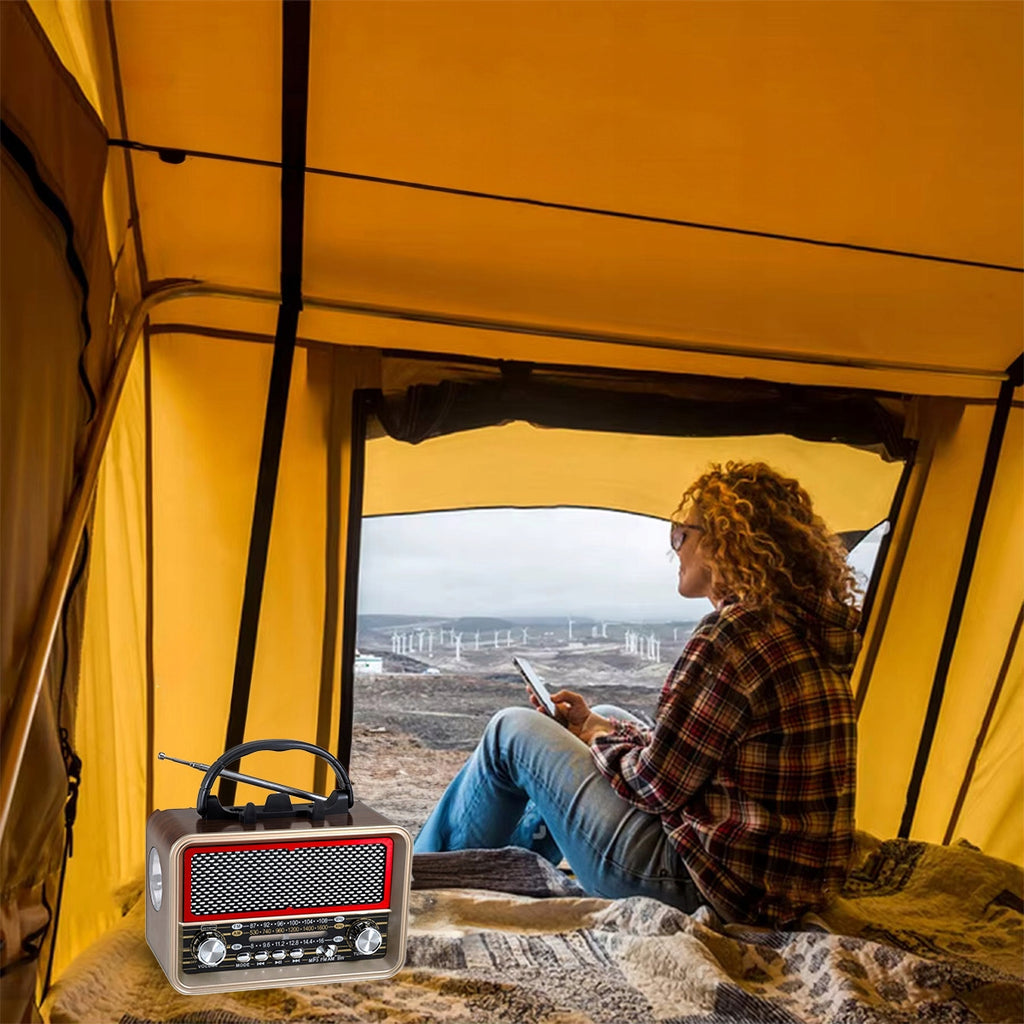 Radio Retro FM solaire Bluetooth portable à piles, avec antenne USB-C Zenwire BT-S060