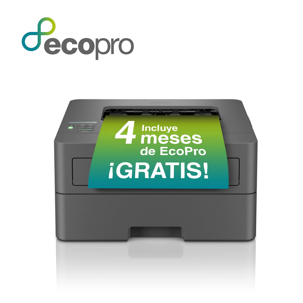 Brother HL-L2400DWE imprimante laser 1200 x 1200 DPI A4 Wifi