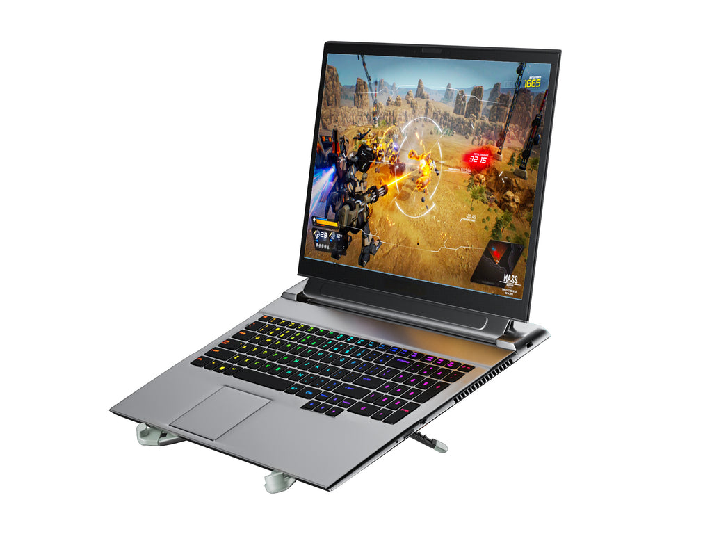 Conceptronic THANA11G Support pour Ordinateurs Portables, Gris, jusqu'à 43,9 cm (17.3")