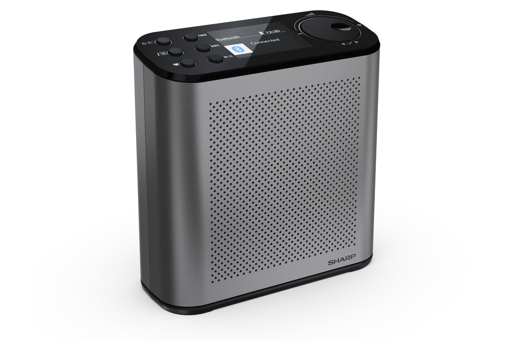 Radio Portable Numérique Osaka, DAB+ FM, 3W, Écran LCD, Gris