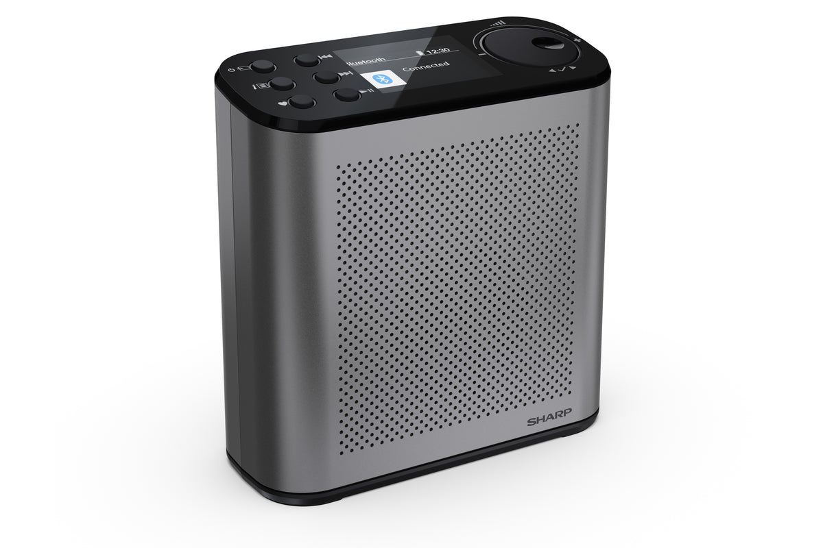 Radio Portable Numérique Osaka, DAB+ FM, 3W, Écran LCD, Gris