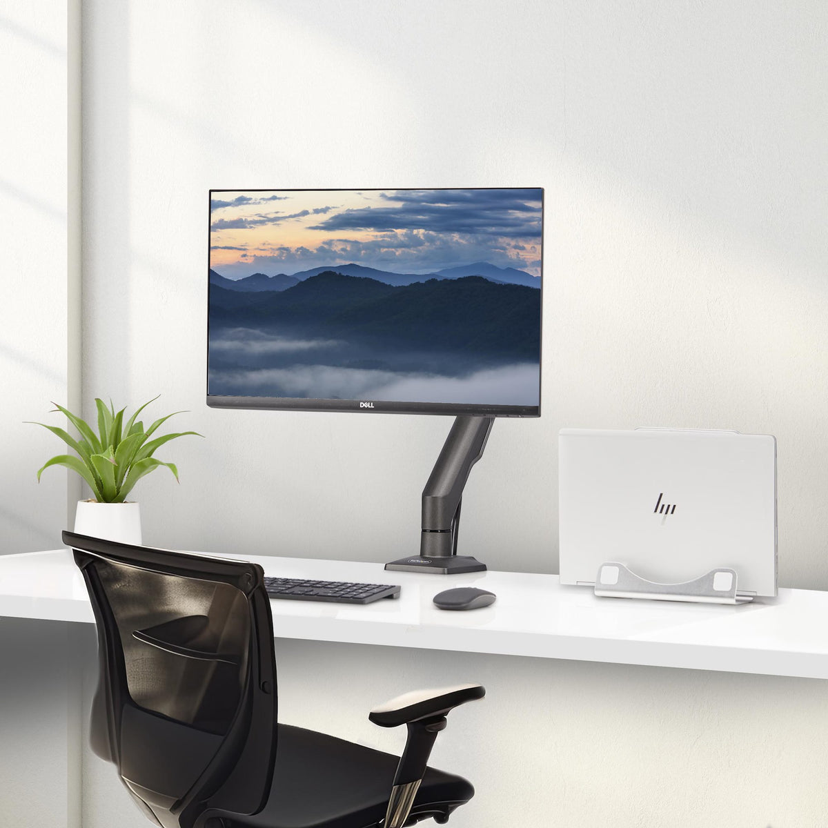 StarTech.com Bras pour Moniteur Bureau jusqu'à 32", Max 10kg, VESA 75x75/100x100, Pince en C, Articulé, TAA
