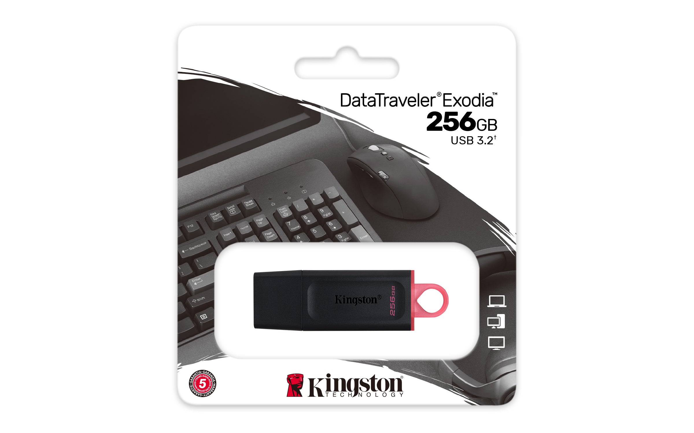 Kingston Technology DataTraveler Exodia - Clé USB 3.2