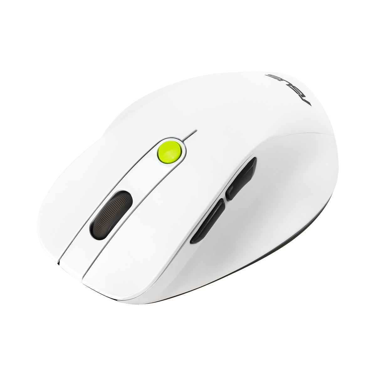 ASUS MD105 MOUSE/VT-GN souris Universel Droitier RF sans fil + Bluetooth 2400 DPI