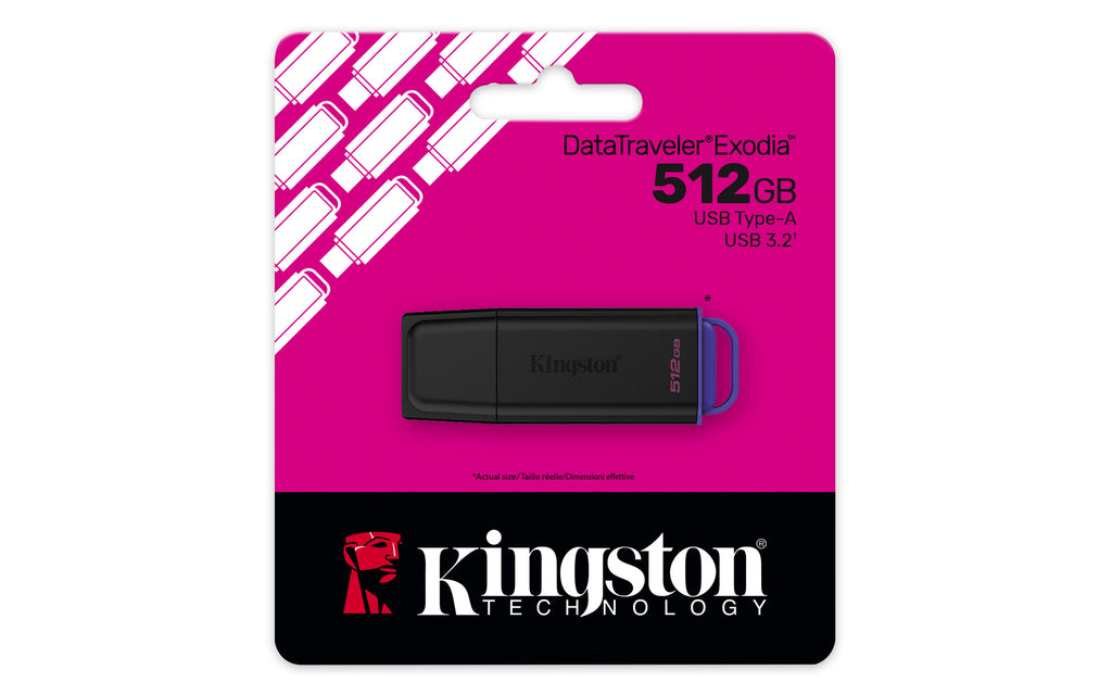 Kingston Technology DataTraveler 512Go Stockage portable USB 3.2 Gen 1 Exodia Noir + Violet