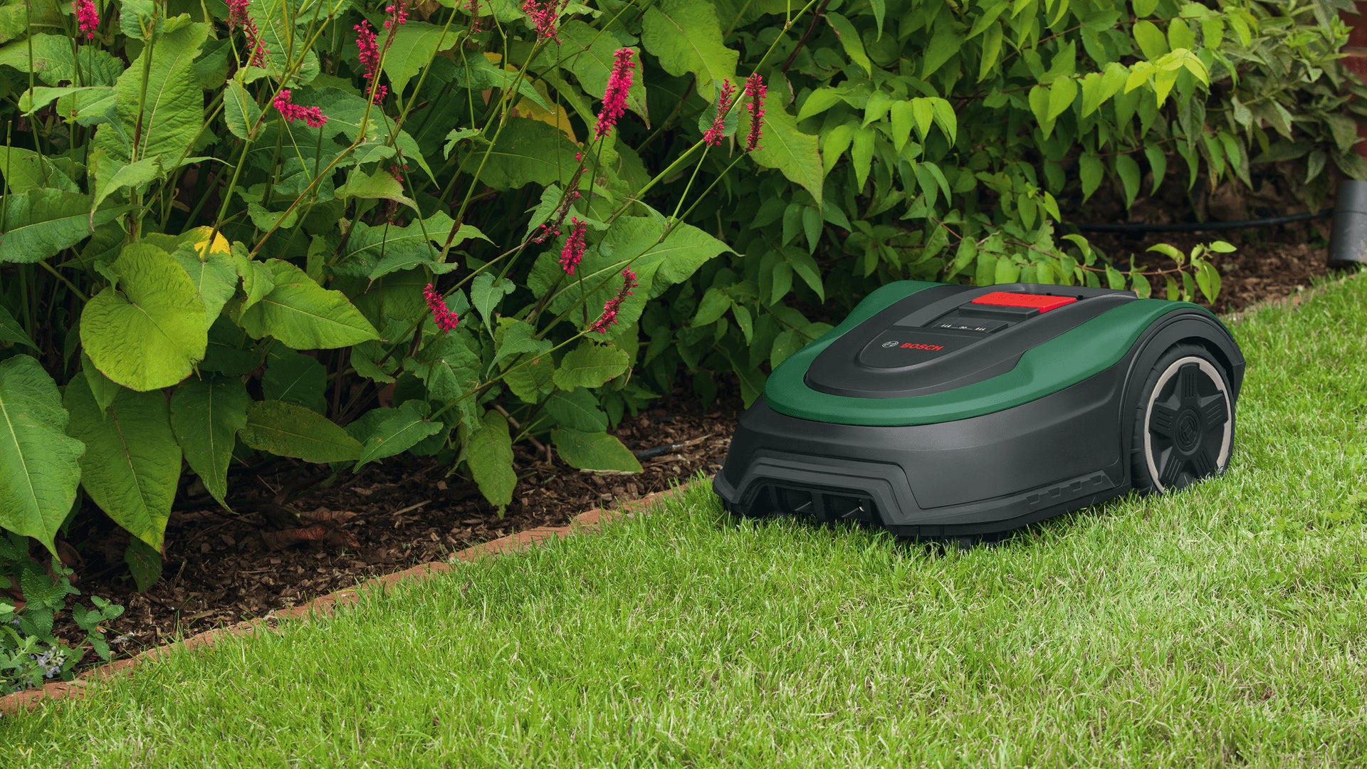 Bosch Bosch Indego M+ 700 Tondeuse à gazon robot Batterie Noir, Vert