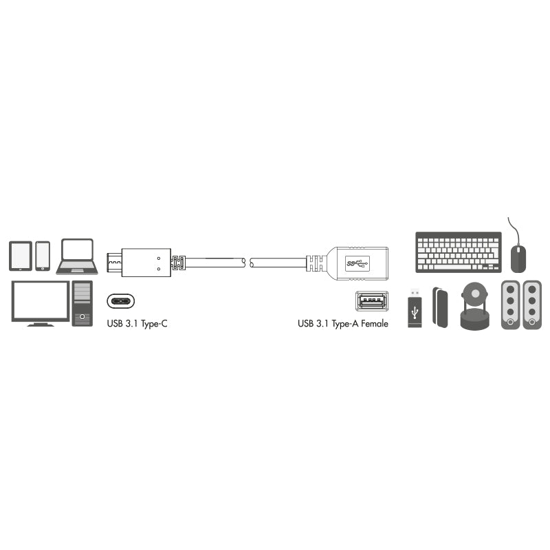 LogiLink Câble Adaptateur USB-C vers USB-A, USB 3.2 Gen 2 (3.1 Gen 2), 0,15 m, Noir