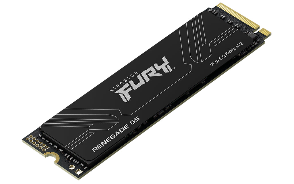 Kingston Technology FURY Renegade G5 4To SSD M.2 2280 NVMe PCIe 5.0