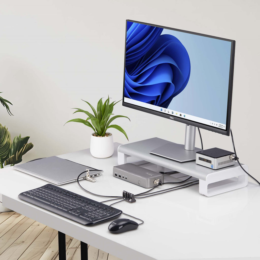 StarTech.com Antivol de Câble pour Périphériques, Sécurisation Clavier et Souris, Ancrage pour Bureaux Partagés et Espac
