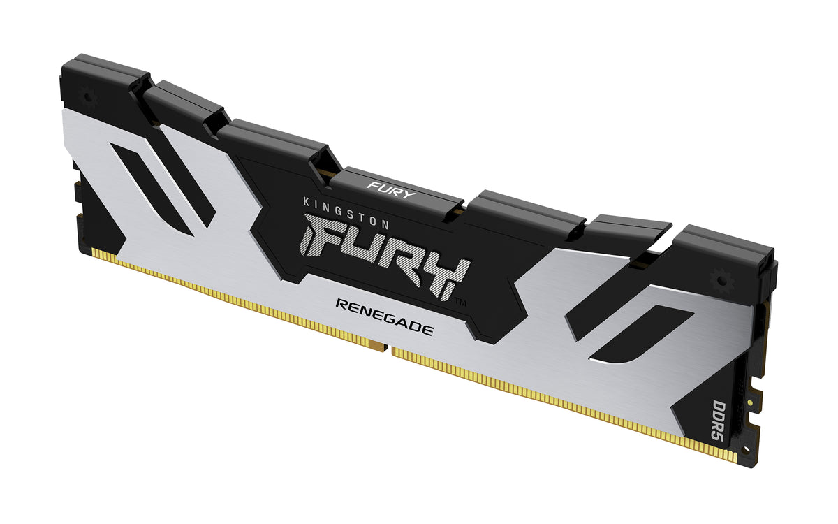 Kingston Technology FURY 48 Go 6000 MT/s DDR5 CL32 DIMM Renegade Argent XMP