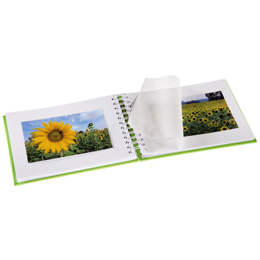 Hama Fine Art Album Photo avec Protège-pages, Vert, 50 Feuilles, 10 x 15 cm