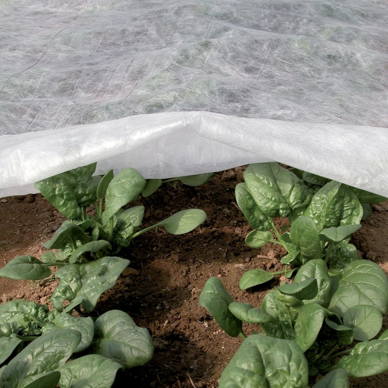 Tenax Ortoclima Voile d'hivernage léger 2 x 20 m 17 g/m²