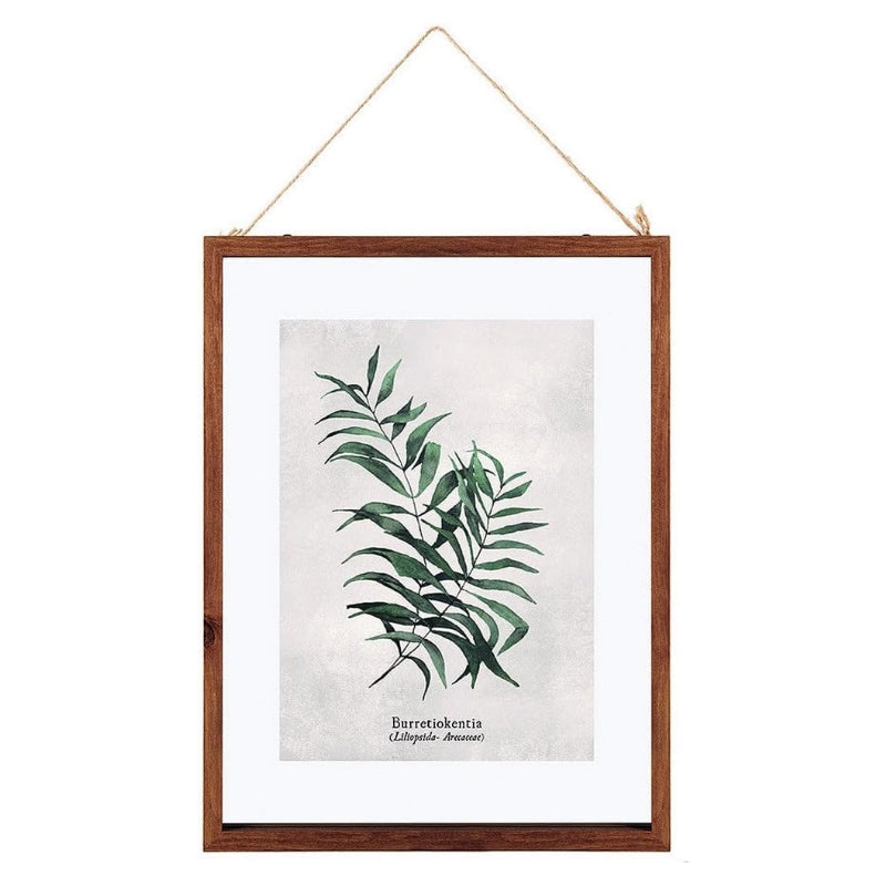 Atmosphera Elody Tableaux Imprimés Feuilles Encadrés 38 x 48 cm En Verre Motifs Assortis