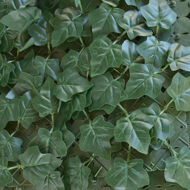 TENAX Divy Hedera Plus Haie synthétique verte - 100 x 300 cm