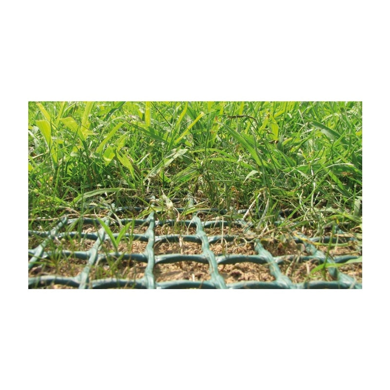 Tenax TR Grille de protection de pelouse anti-chien verte 2 x 30 m Renforce la pelouse