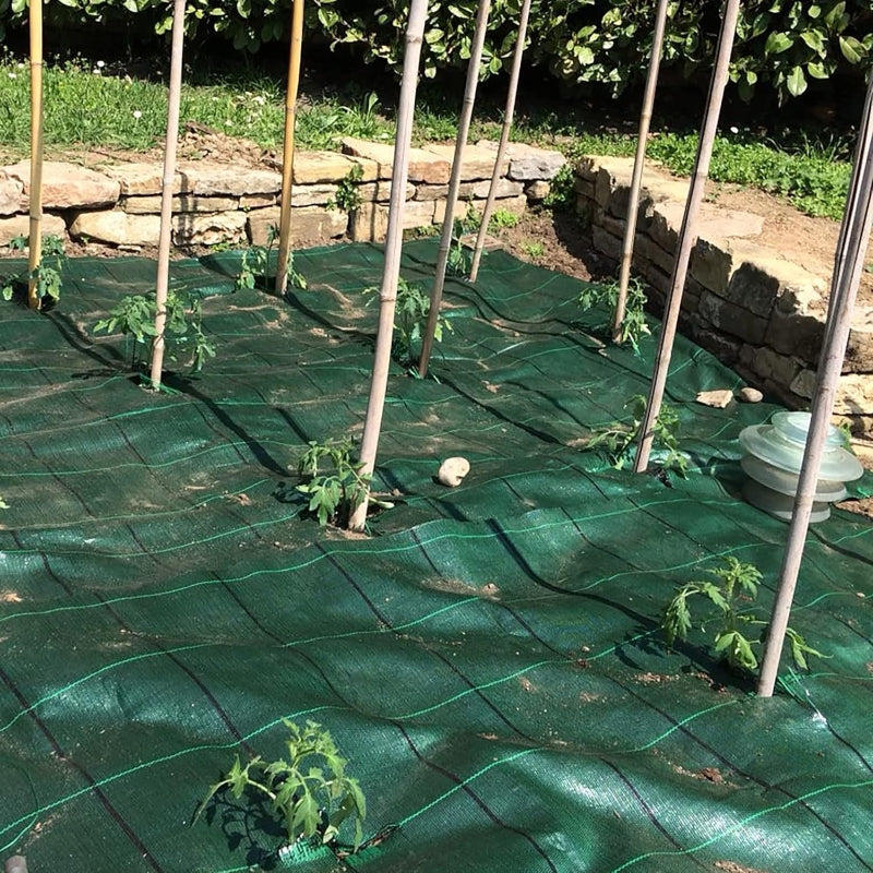 Tenax Cover Pro Toile de paillage pour jardins et potagers Vert 2,00 x 5 m
