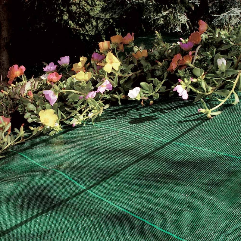 TENAX Cover Pro Bâche pour paillage noir - 3,30 x 100 m