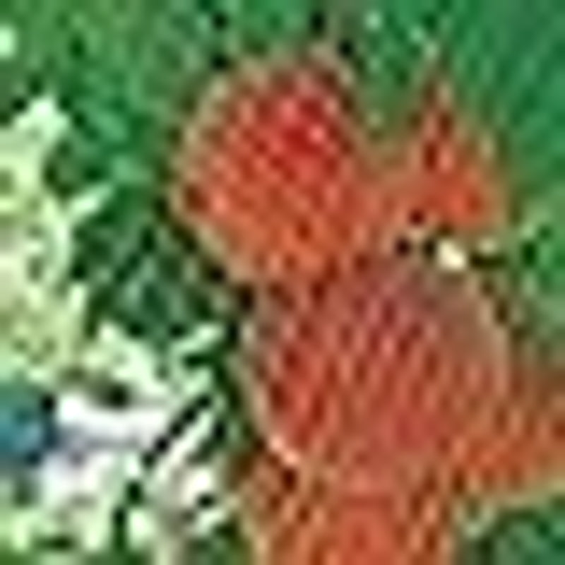 Tenax Filet anti-oiseaux Ortoflex 2,00 x 5 m vert