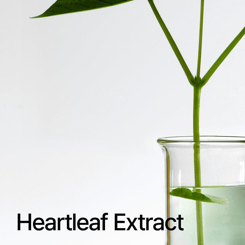 ANUA HEARLEAF Huile nettoyante Pore Control 200 ml