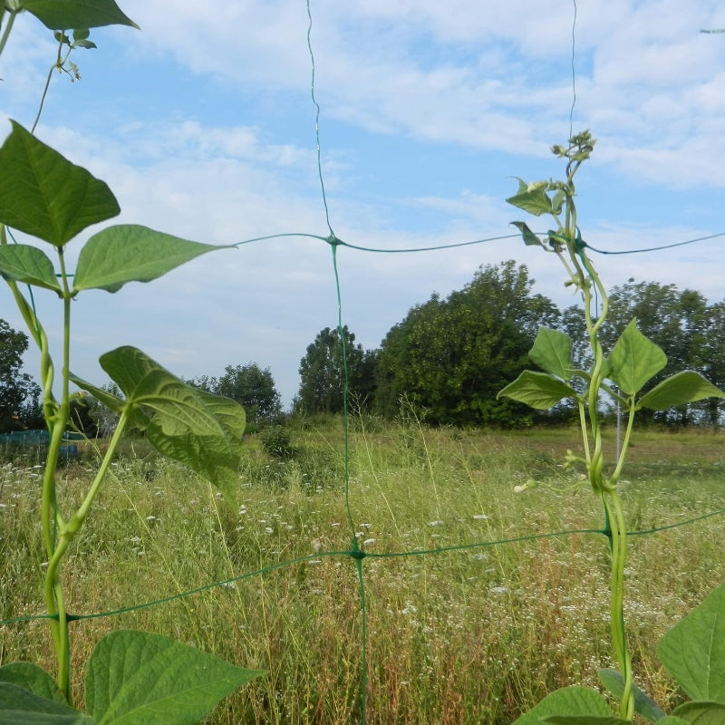 Tenax Flora Filet de palissage Vert 2,00 x 10 m
