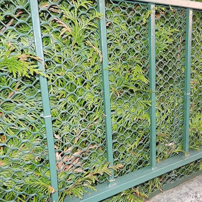 TENAX Exagon Filet en plastique avec mailles hexagonales vert pour balcon et terrasse - 0.8 x 50 m