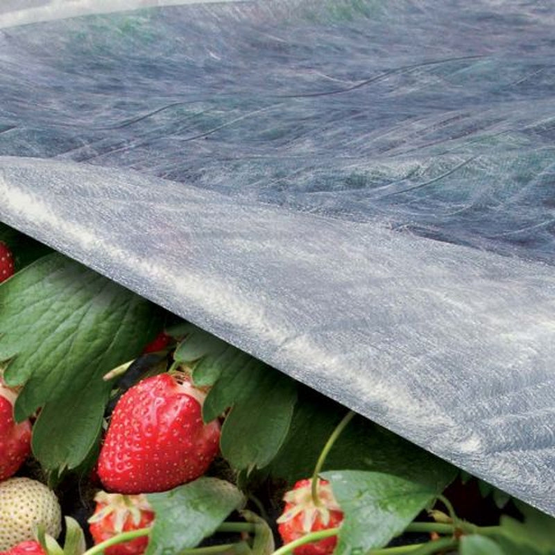 Tenax Ortoclima Voile de protection jardin 2,4 x 500 m 17 g/m²