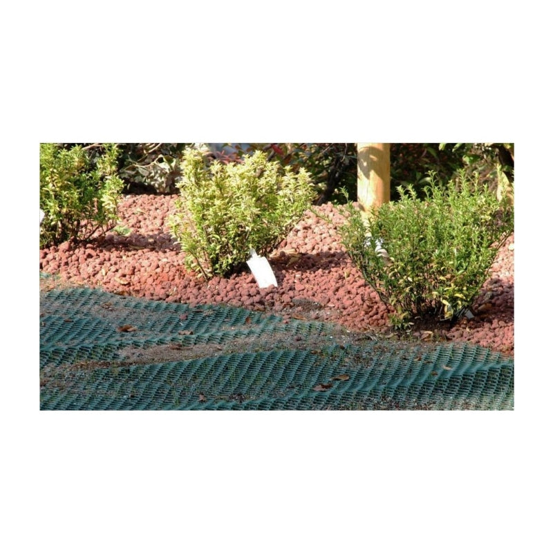 Tenax TR Grille de protection de pelouse anti-chien verte 2 x 30 m Renforce la pelouse