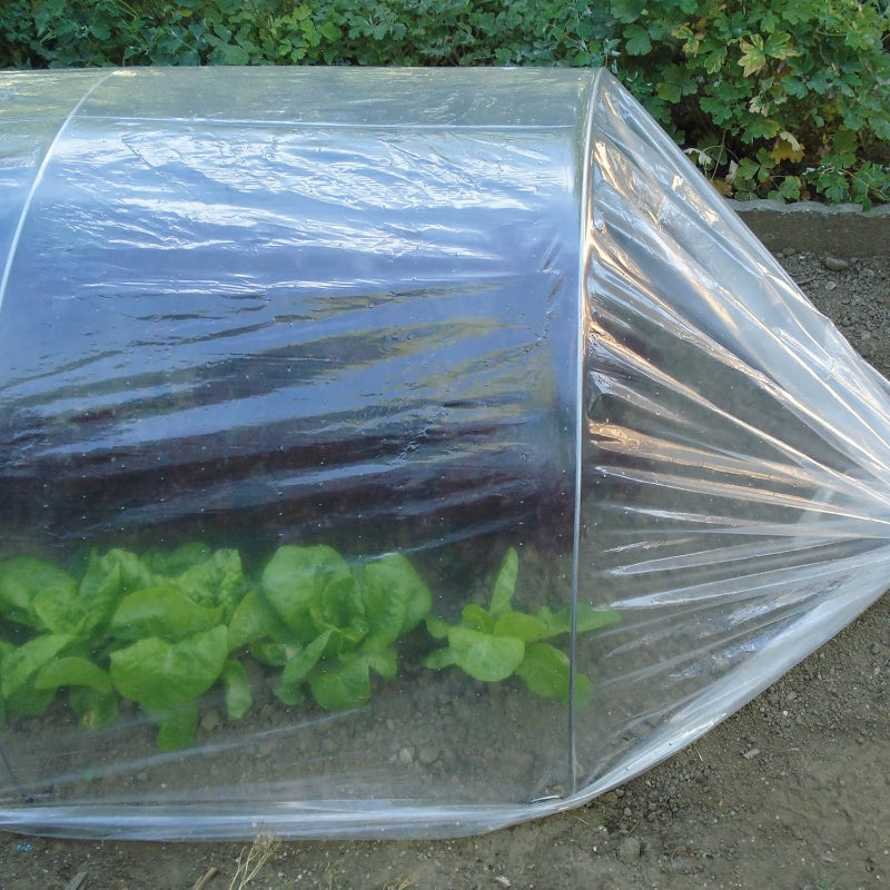TENAX Dot Film de serre micro-perforé - 2 x 10 m