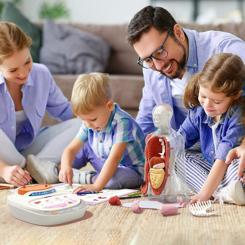 Science Can Modèle d'anatomie humaine pour enfants, jouet STEM parlant, ensemble 30 cm, dès 6 ans, promotion de Nouvel An, meilleurs cadeaux