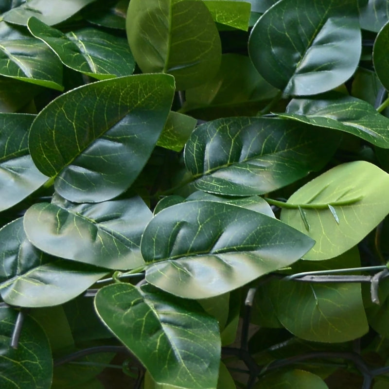 TENAX Divy Laurus Pro Haie synthétique vert - 150 x 2 000 cm
