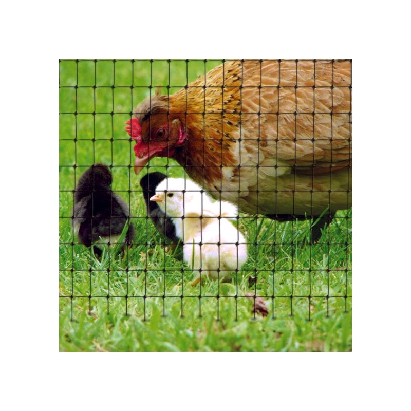 Tenax Filet de protection volière noir 2 x 200 m pour animaux/volailles en fermes