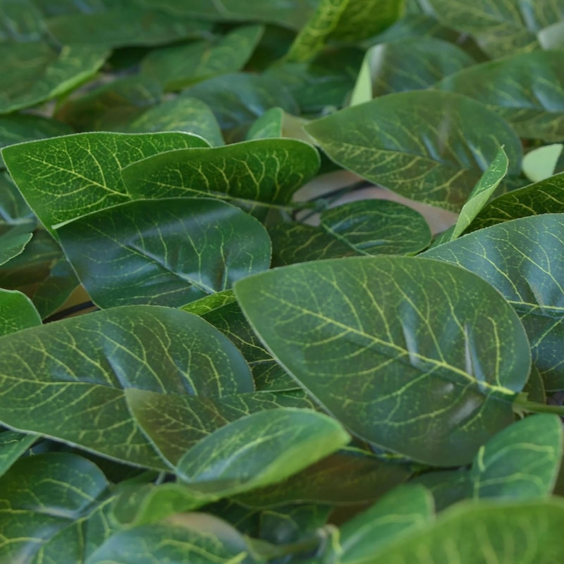 TENAX Divy Laurus Pro Haie synthétique vert - 150 x 2 000 cm