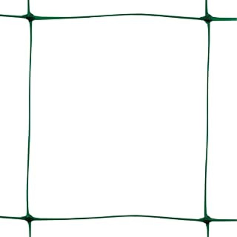 Tenax Filet de palissage Vert 2 x 10 m pour tomates/haricots/fleurs