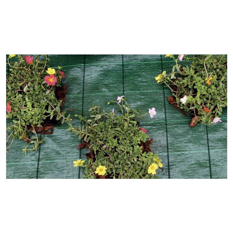 TENAX Cover Pro Bâche pour paillage vert - 3,30 x 100 m