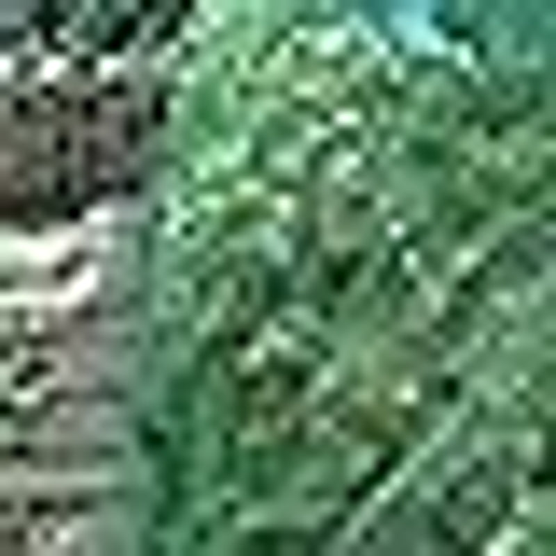 Tenax Filet anti-oiseaux Ortoflex 2,00 x 5 m vert