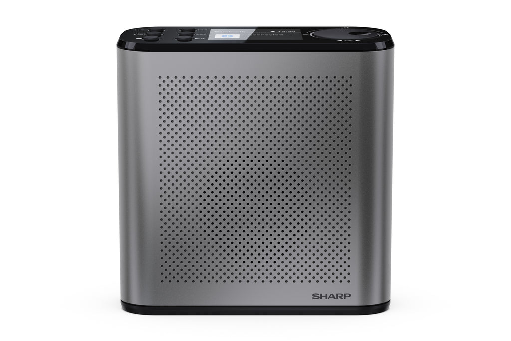 Radio Portable Numérique Osaka, DAB+ FM, 3W, Écran LCD, Gris