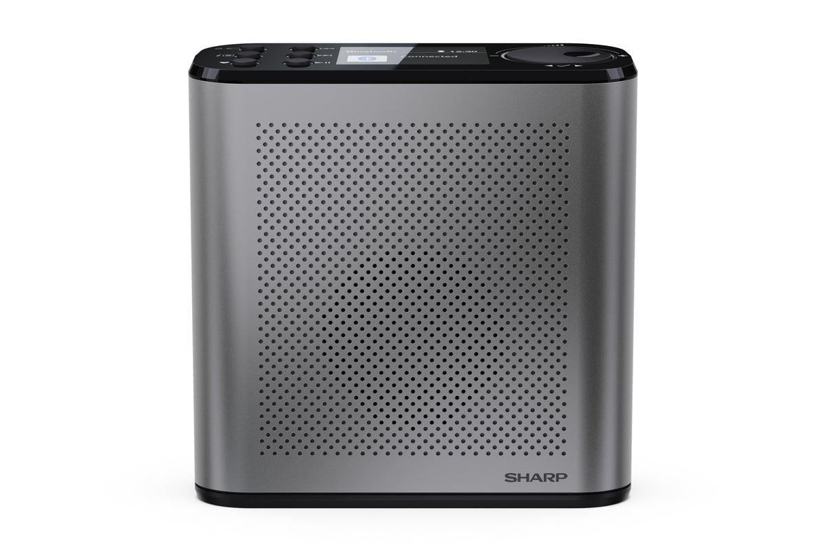 Radio Portable Numérique Osaka, DAB+ FM, 3W, Écran LCD, Gris