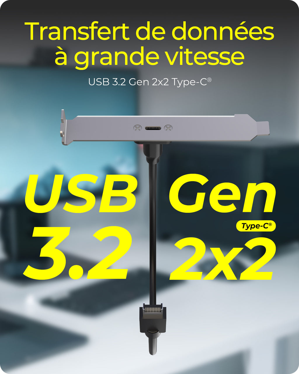 Panneau Arrière USB Type-C avec Connecteur Interne USB Type-E, USB 3.2 Gen 2x2, IB-AC553