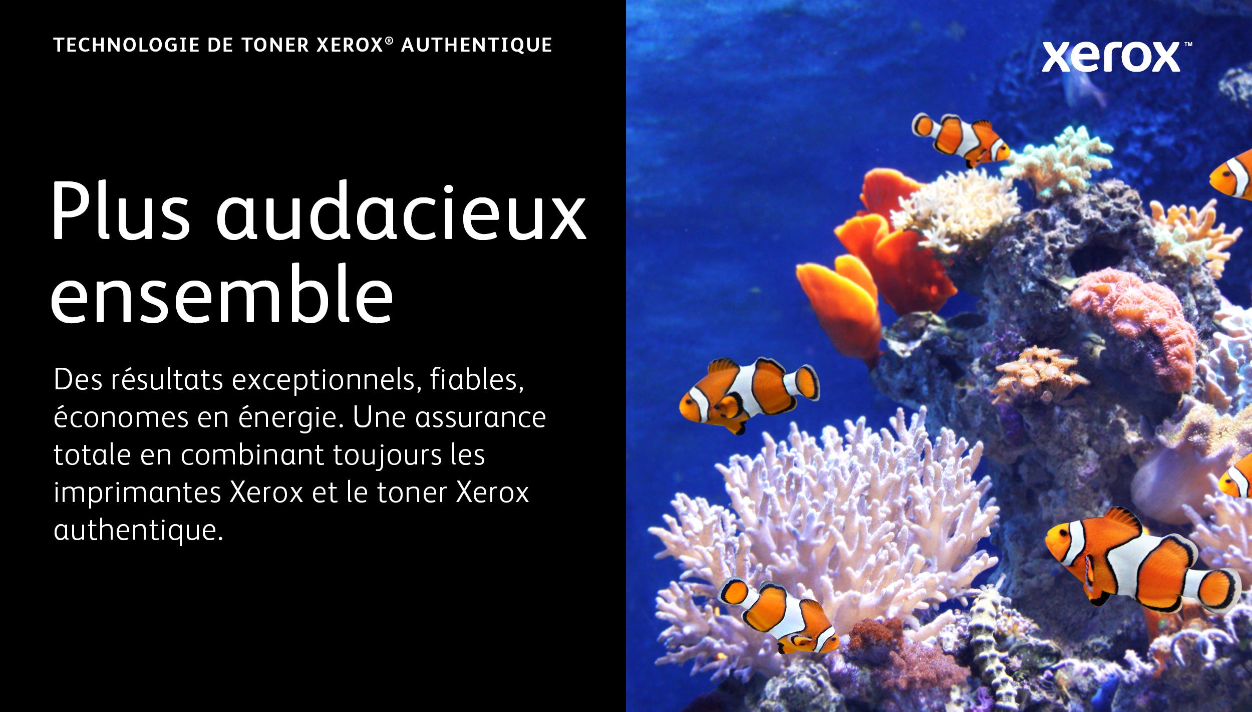 Xerox Cartouche de toner Noir de Capacité standard Imprimante ® VersaLink® B400/multifonction ® VersaLink® B405 (5900 pages) - 106R03580